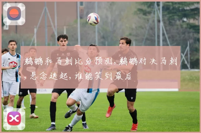 鹈鹕和马刺比分预测,鹈鹕对决马刺,悬念迭起,谁能笑到最后