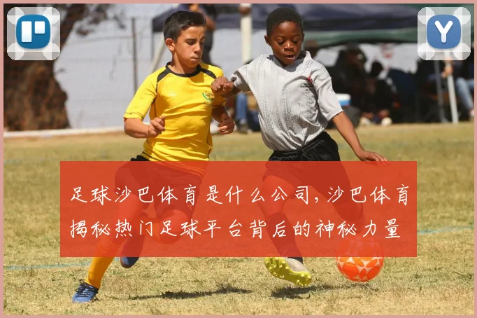足球沙巴体育是什么公司,沙巴体育揭秘热门足球平台背后的神秘力量